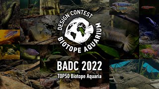 TOP50 Biotope Aquarium Design Contest BADC2022 [upl. by Roldan]