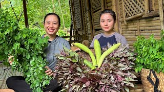 2 sisters harvest luffa and red spinach to sell at the market  Gardening [upl. by Liddle323]