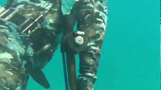 spearfishing Fl Keys Speardivers tv show [upl. by Ydnar]