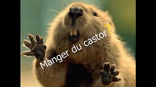 Manger du castor [upl. by Leanor]