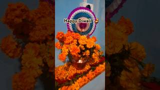 ytshorts youtubeshorts youtube happydiwali [upl. by Leuqer734]