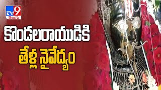 కర్నూలు జిల్లాలో వింత ఆచారం  తేళ్లు నైవేద్యంగా పెట్టి పూజలు  TV9 [upl. by Halsey931]