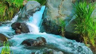 Waterfall Sounds Relaxing River Sound Instrumental For Sleep Stress Reliever For Healing [upl. by Ahsikin]