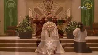 Eucharistic Adoration St Stephen Catholic Church [upl. by Berta]