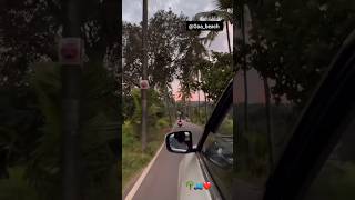 Coconut Tree Road Goa coconuttree shortvideo road shorts [upl. by Fiorenze]