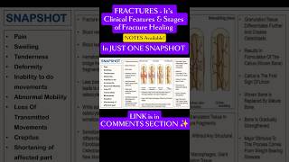 🌼FRACTURES  Clinical Features amp Stages of Fracture Healing ✨notes orthopedics Physiolectures [upl. by Byrom]