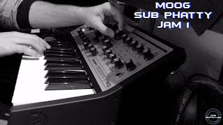 Moog Sub Phatty Jam 1 [upl. by Zacherie]