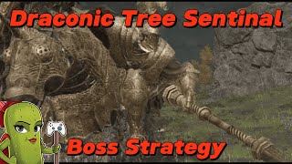 Dominate the Draconic Tree Sentinel  Elden Ring Battle Guide [upl. by Kirit]