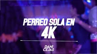 PERREO SOLA vs 4K  DANI CEJAS amp TUTI DJ [upl. by Stutman]