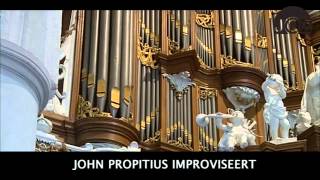 John Propitius  Martinikerk Bolsward [upl. by Culliton]