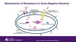 New Antibiotics for the Treatment of Drug Resistant Gram Negative Infections [upl. by Laeria]