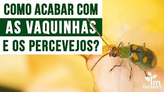 Como controlar as vaquinhas e os percevejos [upl. by Meghan]