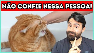 Como Seu Gato Pode RECONHECER E ALERTÁLO Sobre Pessoas RUINS [upl. by Eixid]