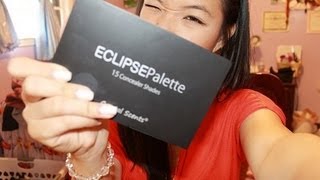 Coastal Scents Eclipse Palette 15 Concealer Shades REVIEW [upl. by Merilee357]