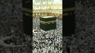 Muslim Pilgrims circumambulate the Kaaba [upl. by Albarran]