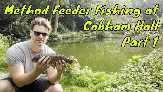 Feeder Fishing at Cobham Hall Part 1 [upl. by Odlabu798]