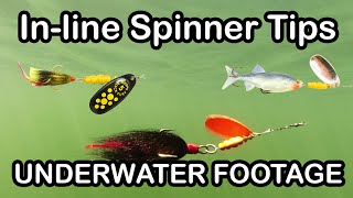 Inline Spinner Fishing Lure Tips and How To Fish Spinners underwater fishing lures [upl. by Delanos]