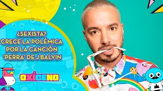 J Balvin recibe críticas del Gobierno por su canción Perra  Oxígeno Colombia [upl. by Eyoj]