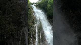 Waterfall Sounds For Sleeping No Ads  Waterfall Screensaver shorts [upl. by Byran526]