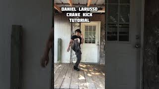 Daniel LaRusso Crane Kick Tutorial [upl. by Hnaht412]