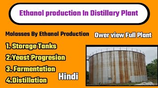 Ethanol Production From Molasses in Distillary Plantschemicaltechnical [upl. by Buttaro]