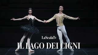 Il lago dei cigni  Coda del cigno nero Teatro alla Scala [upl. by Anes]