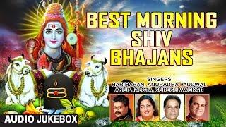 Best Morning Shiv Bhajans By HARIHARAN ANURADHA PAUDWAL SURESH WADKAR ANUP JALOTA I Audio JukeBox [upl. by Eisoj]