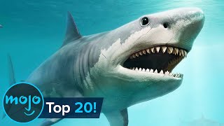 Top 20 Extinct Animals [upl. by Duvall]