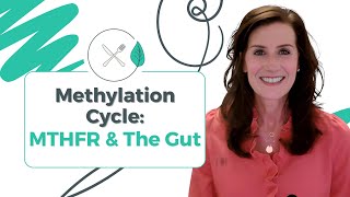 Methylation Cycle MTHFR And The Gut [upl. by Neri]