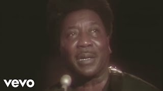 Muddy Waters  Hoochie Coochie Man Live [upl. by Echo]