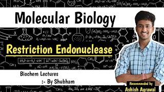 Restriction Endonucleases  Molecular Biology  Biochemistry Lecture [upl. by Ramso]