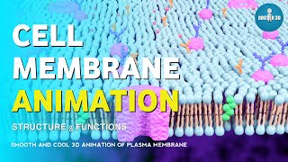 Cell Membrane Animation  Structure and Functions of Plasma Membrane  Doctor 3D [upl. by Isadora110]