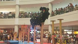 Lion Dance in Ipoh Parade Part 2  👍👍 [upl. by Westhead]