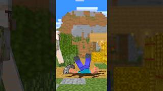 ELYTRA HAS JUST BROKEN trending boozlover minecraft [upl. by Corny]