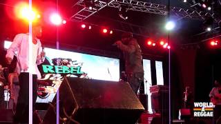 Beres Hammond Live  Rebel Salute 2013  Jamaica [upl. by Rothmuller268]