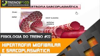 Hipertrofia Miofibrilar e Hipertrofia Sarcoplasmática  Fisiologia do Treino 22 [upl. by Raamal166]