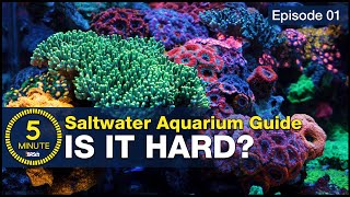 Hard is why it’s cool Setup a saltwater aquarium you can be proud of [upl. by Mathew258]