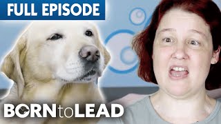 What Happens When a Guide Dog Retires  Born To Lead Episode 7  Bondi Vet [upl. by Hutt]