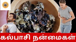 Black Stone Flower Benefits in Tamil  kalpasi  Dagad phool OruNimishamSir [upl. by Sualkcin40]