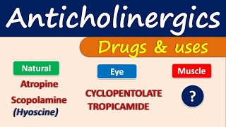 Anticholinergics  Drugs and uses [upl. by Aken]