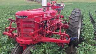 1947 Farmall H amp HM250 cultivator [upl. by Saundra]