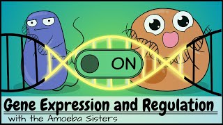 Gene Expression and Regulation [upl. by Marco165]