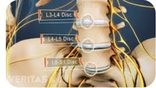 Understanding the Lumber nerve L4  anatomy and function [upl. by Hareehat]