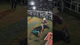 He wins bull competition  shorts facts youtubeshorts [upl. by Amasa]