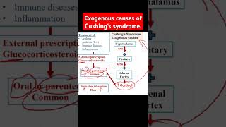 Exogenous causes of Cushings syndrome [upl. by Roman]