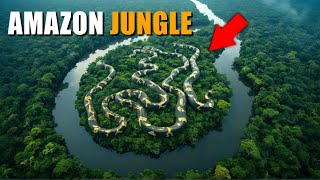 Most Dangerous Animals Of Amazon Rainforest Facts About Amazon Animals JH TV [upl. by Ahs]