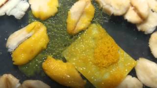 slime mold sclerotium reviving [upl. by Callida]