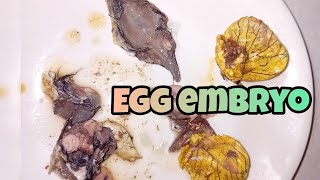 Cracking egg embyo balut egg asmr [upl. by Neirbo]