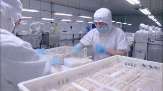 Manufacture processing of Konjac NoodlesNatureFlo Ingredients [upl. by Fonda]