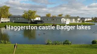 Haggerston castle Badger lakes [upl. by Fleta]